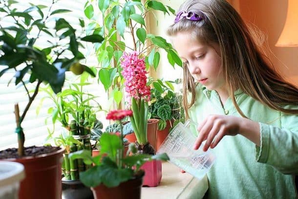 Jaké rostliny jsou vhodné do dětského pokoje