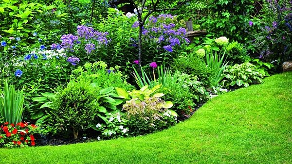 Aby vaše zahrada na jaře vzkvétala