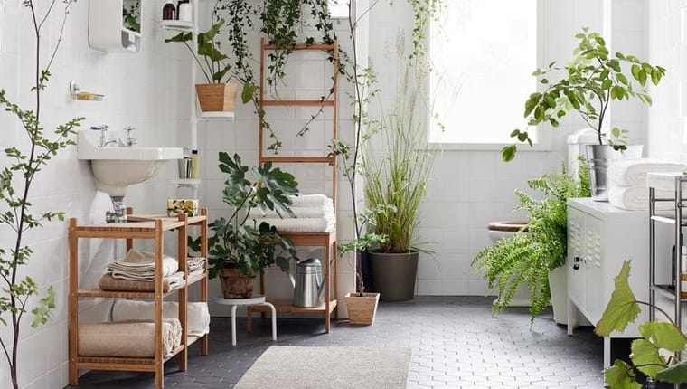 Udělejte místo rostlinám v koupelně