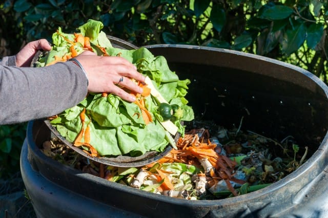 Známe řešení na 5 nejčastějších problémů s kompostováním